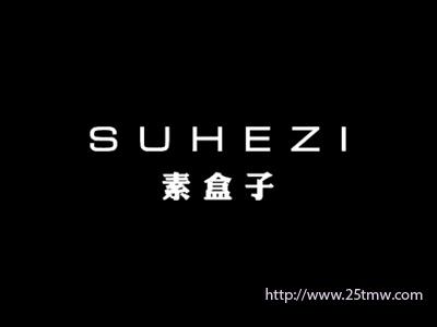 素盒子