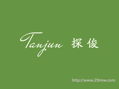 探俊