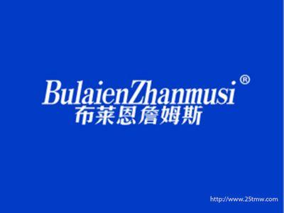 布莱恩詹姆斯