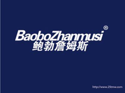 鲍勃詹姆斯