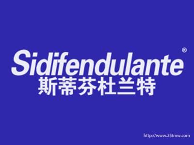 斯蒂芬杜兰特