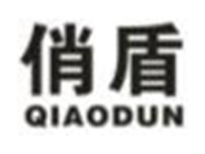 俏盾