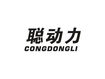 聪动力