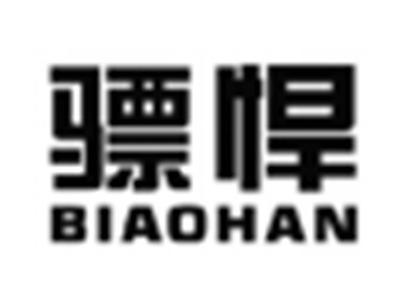 骠悍