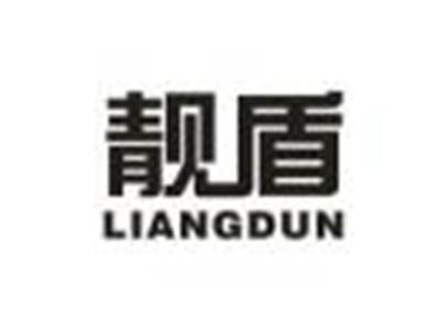 靓盾