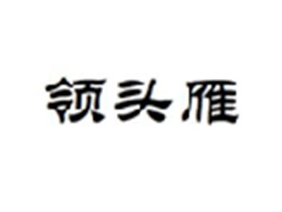 领头雁