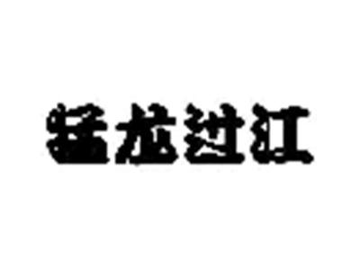 猛龙过江