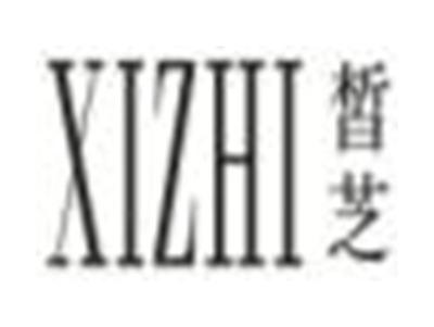 皙芝