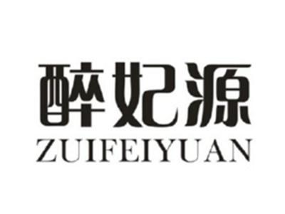醉妃源