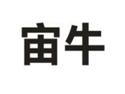 宙牛