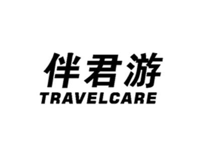 伴君游