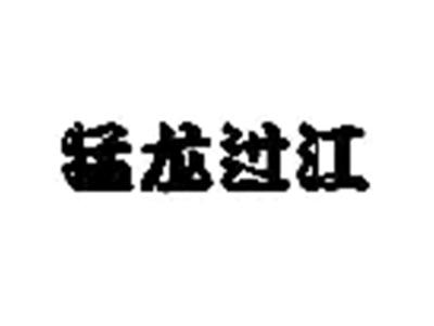 猛龙过江