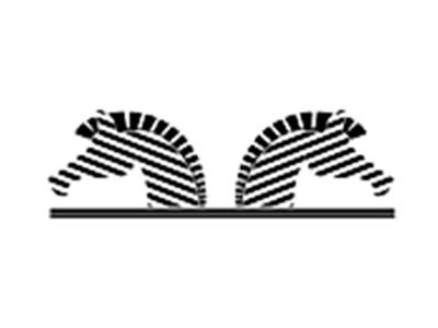斑马图案