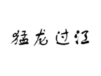 猛龙过江