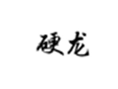 硬龙