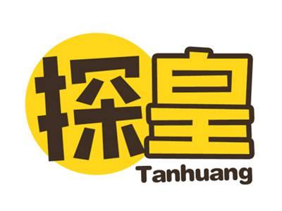 探皇