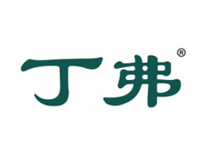 丁迪