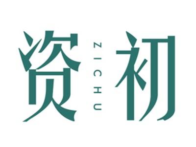 资初