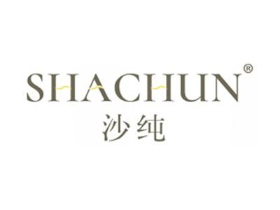 沙纯