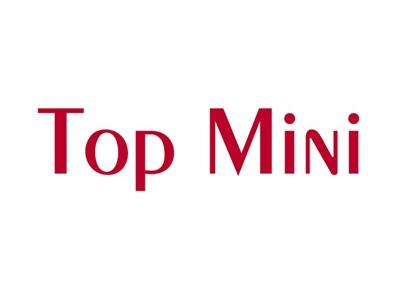 TOPMINI