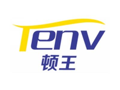 顿王TENV