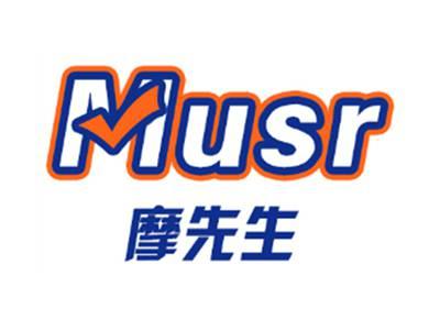 摩先生