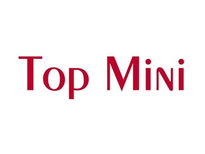 TOPMINI