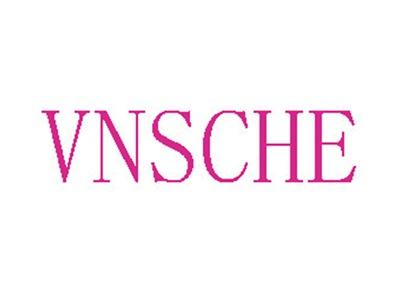 VNSCHE