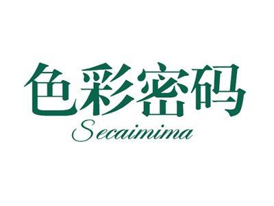 色彩密码