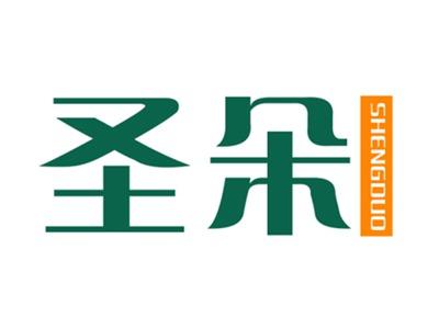 圣朵