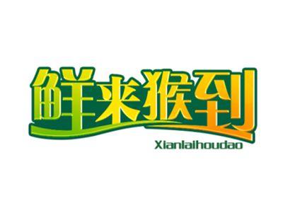 鲜来猴到