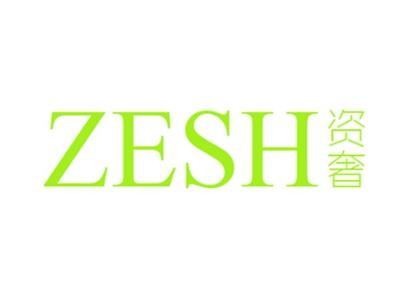 资奢ZESH