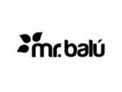 Mr.balu