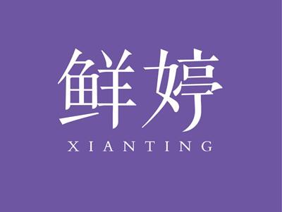鲜婷XIANTING