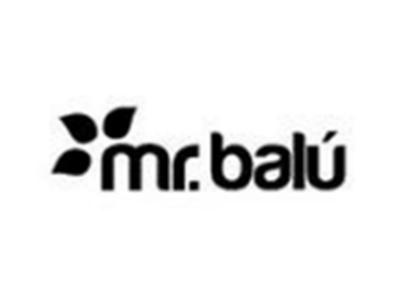 Mr.balu