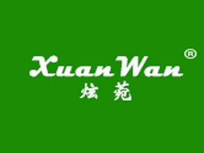 炫菀