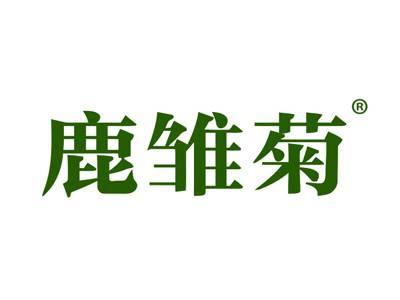鹿雏菊