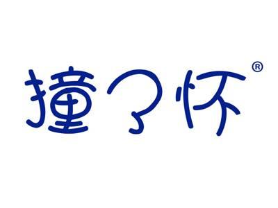 撞了怀