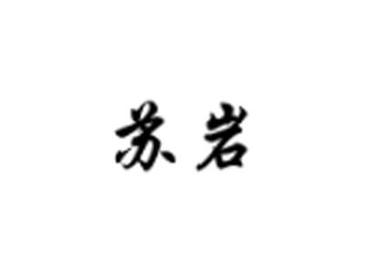 苏岩