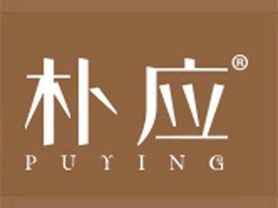 朴应