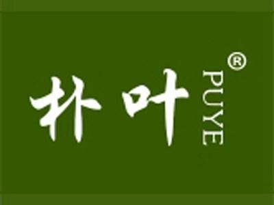 朴叶