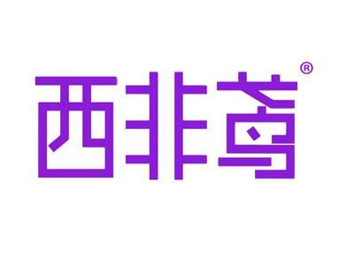 西非鸢