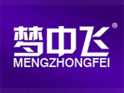 梦中飞