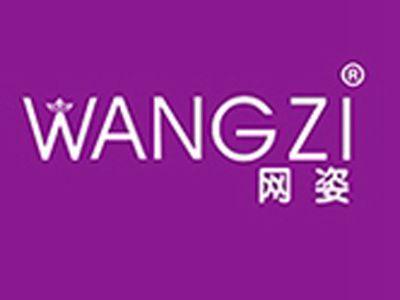 网姿