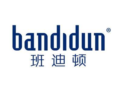 班迪顿