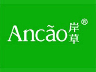 岸草