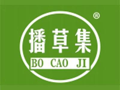 播草集+拼音