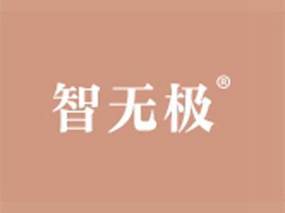 智无极