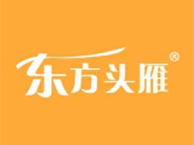 东方头雁