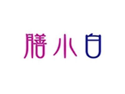 膳小白